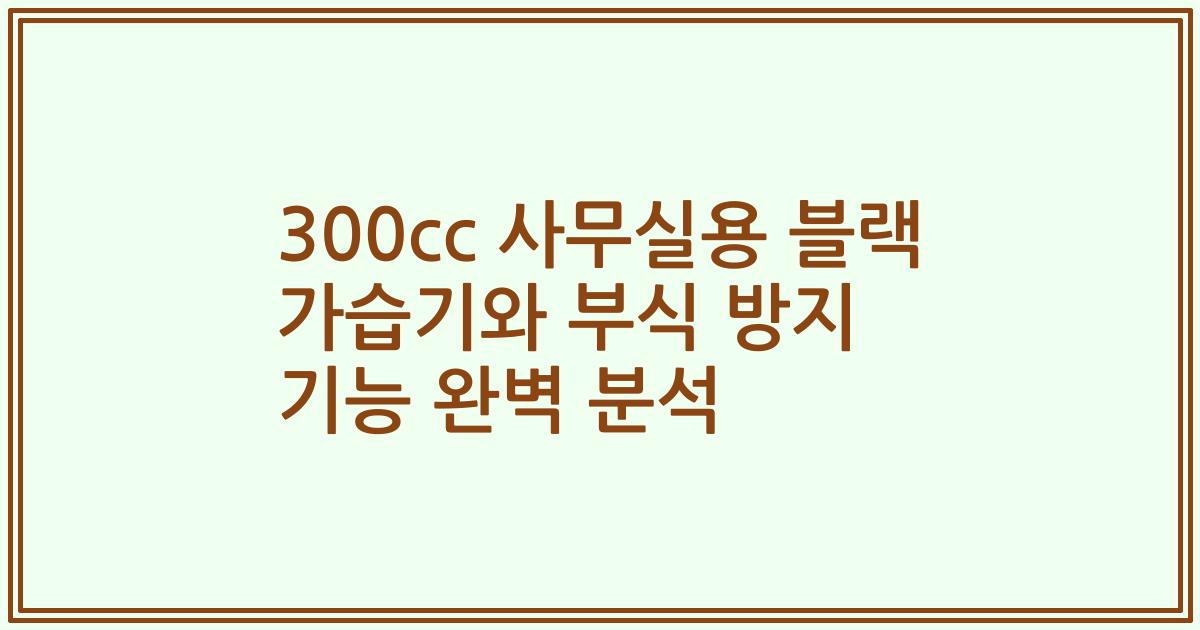 300cc 사무실용 블랙 가습기와 부식 방지 기능 완벽 분석