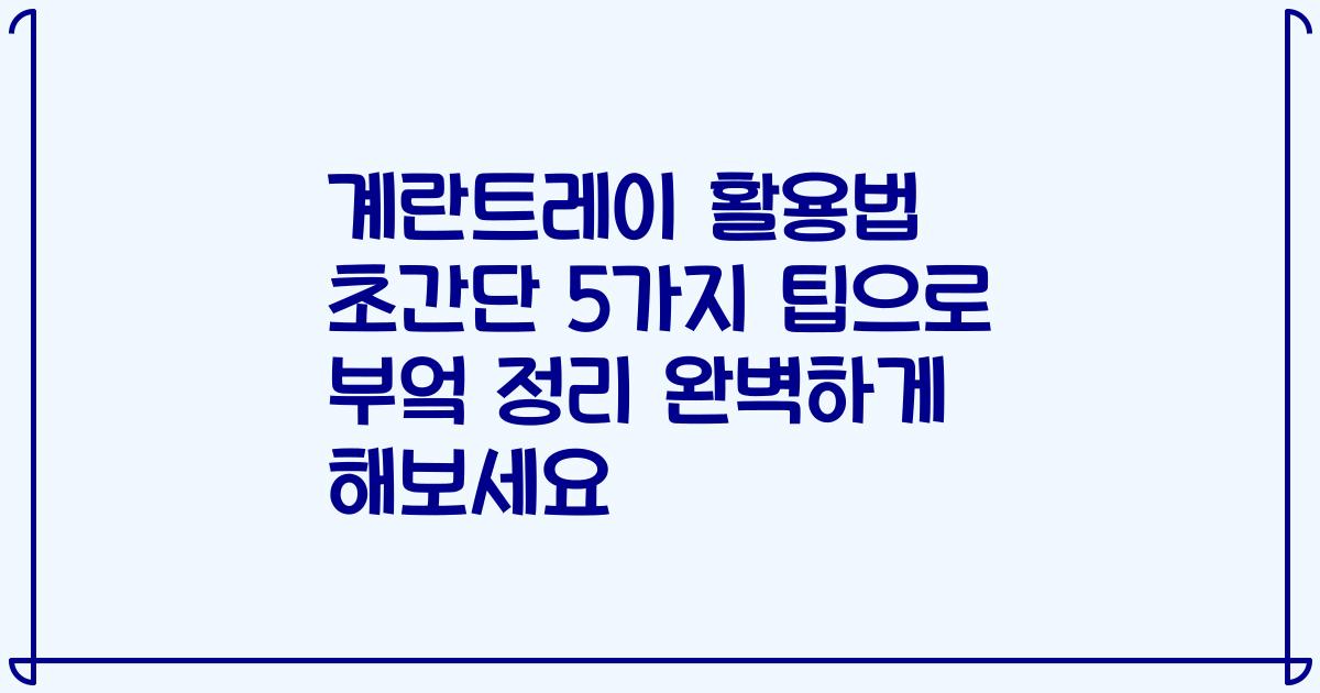 계란트레이 활용법 초간단 5가지 팁으로 부엌 정리 완벽하게 해보세요