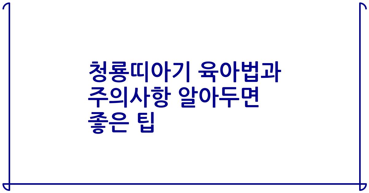 청룡띠아기 육아법과 주의사항 알아두면 좋은 팁