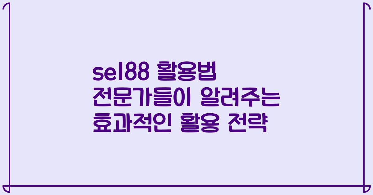 se188 활용법 전문가들이 알려주는 효과적인 활용 전략